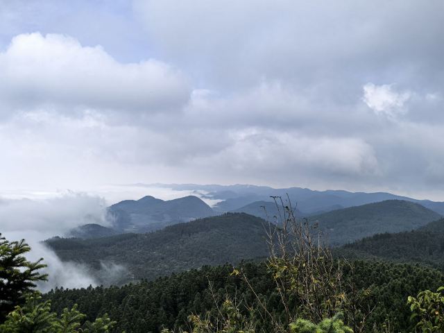 武陵山国家森林公园旅行图片 8