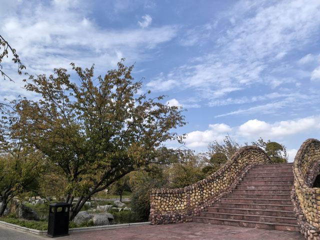 南通洲际梦幻岛旅行图片 7