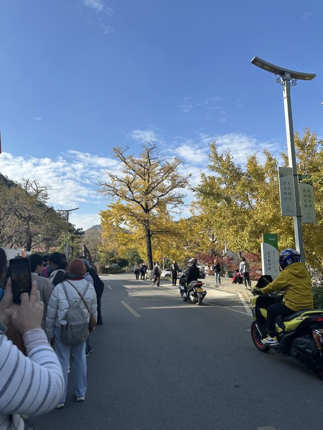 八都岕八都堰旅行图片 5