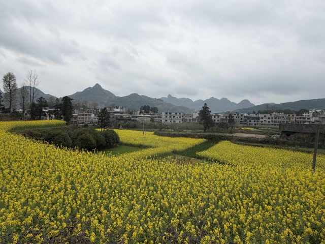 平塘天硐旅行图片 4