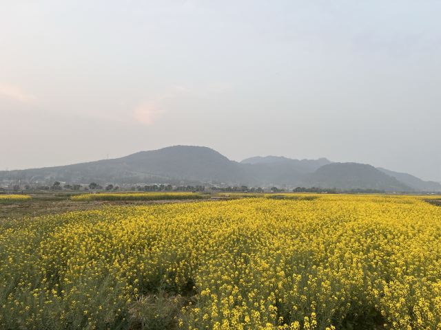和顺古镇景区旅行图片 5
