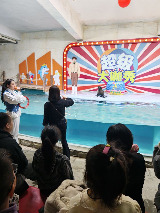 南昌海洋公园旅行图片 2