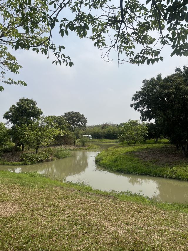 广州海珠国家湿地公园旅行图片 5