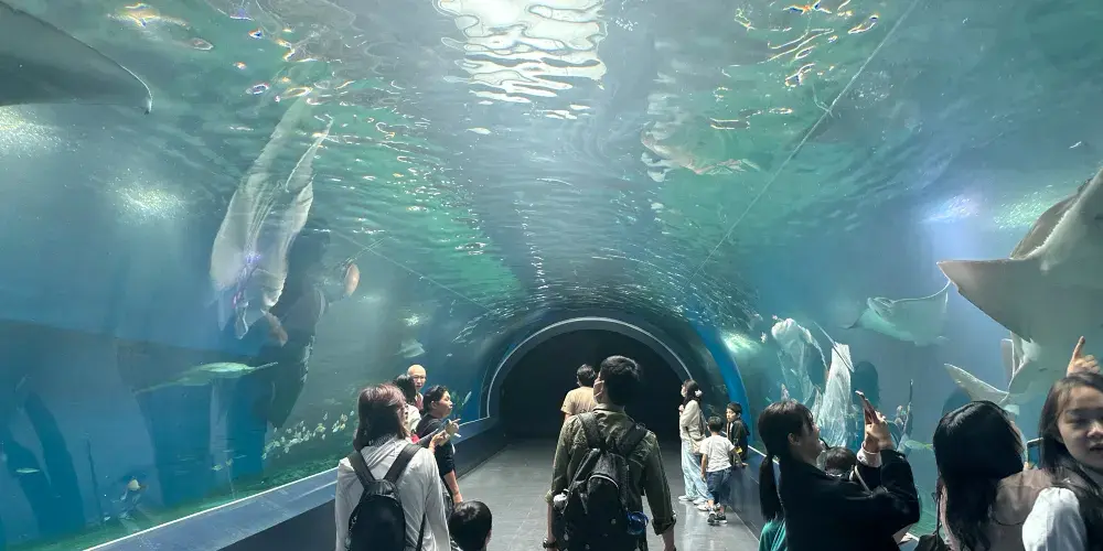 永安旅遊