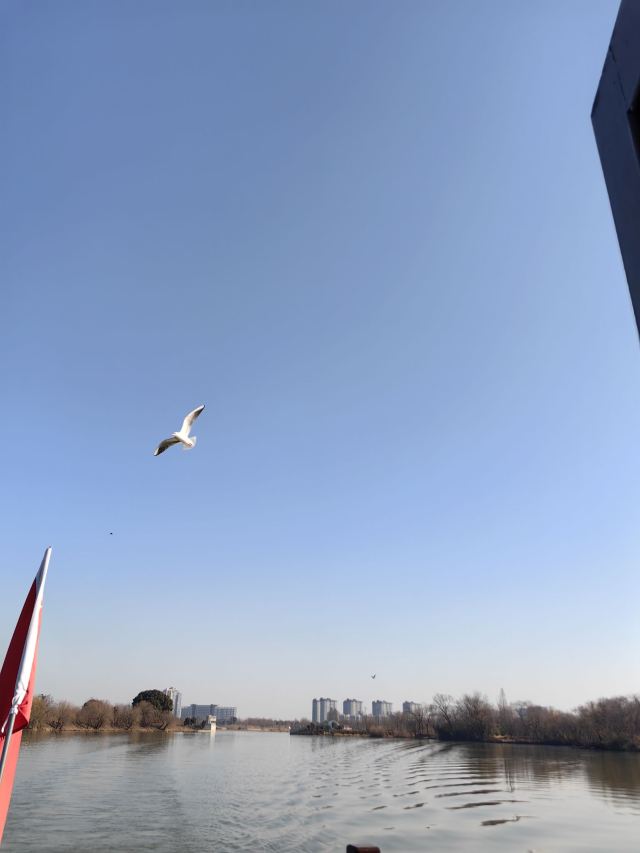 长兴太湖图影湿地文化园-观景塔旅行图片 3