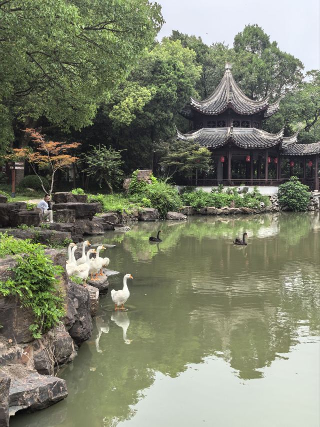 啬园旅行图片 6