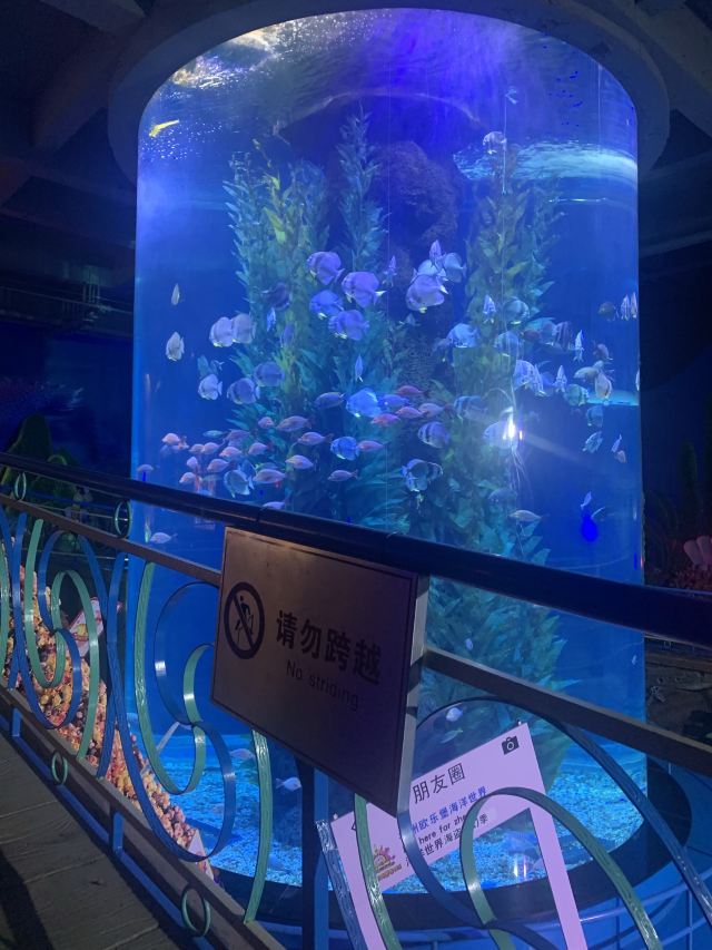 福州欧乐堡海洋世界旅行图片 3