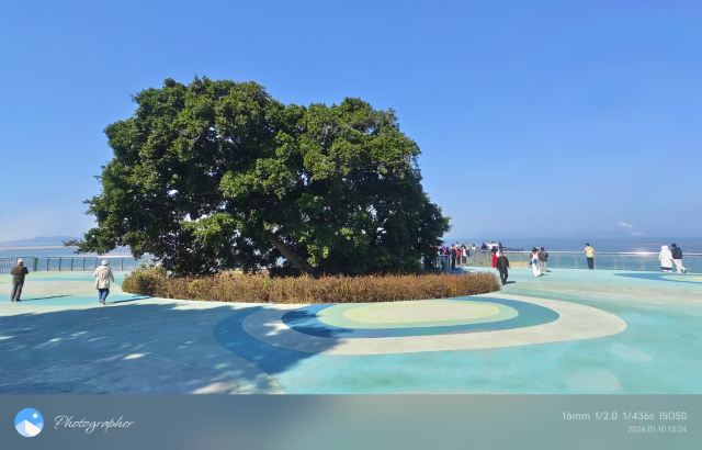 南澳岛生态旅游区旅行图片 8
