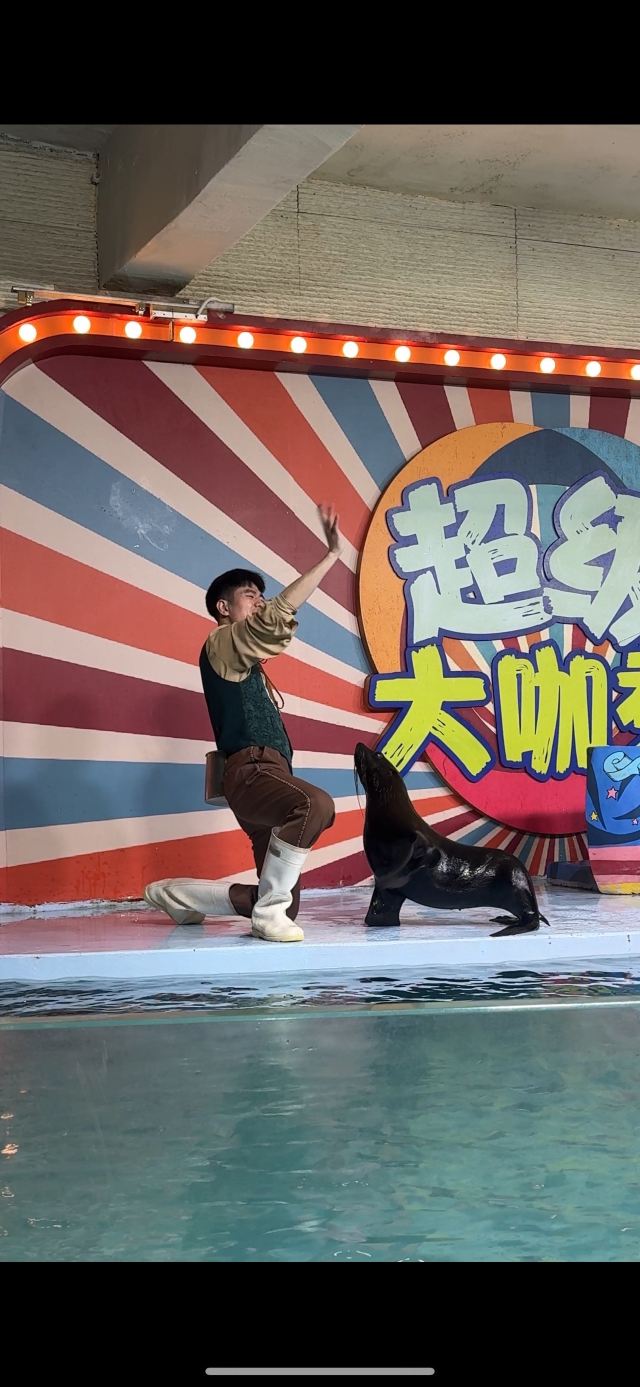 南昌海洋公园旅行图片 3