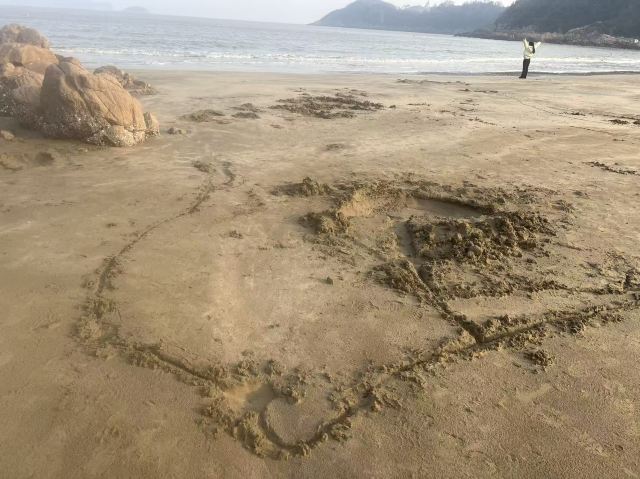 宁波松兰山滨海旅游度假区旅行图片 1