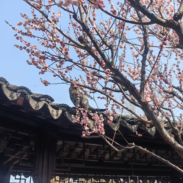怡园旅行图片 1