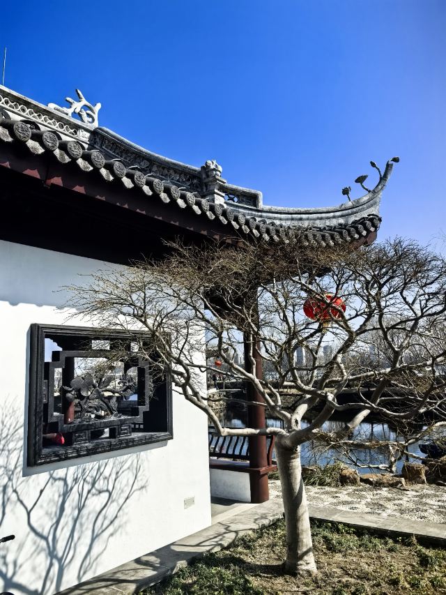 蠡园旅行图片 4