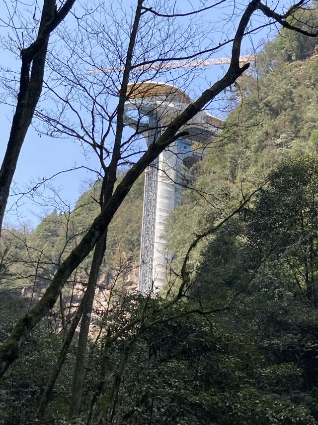 碧峰峡风景区旅行图片 1