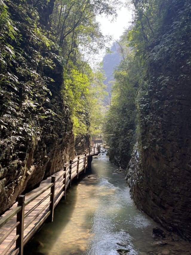 张家界大峡谷旅行图片 6