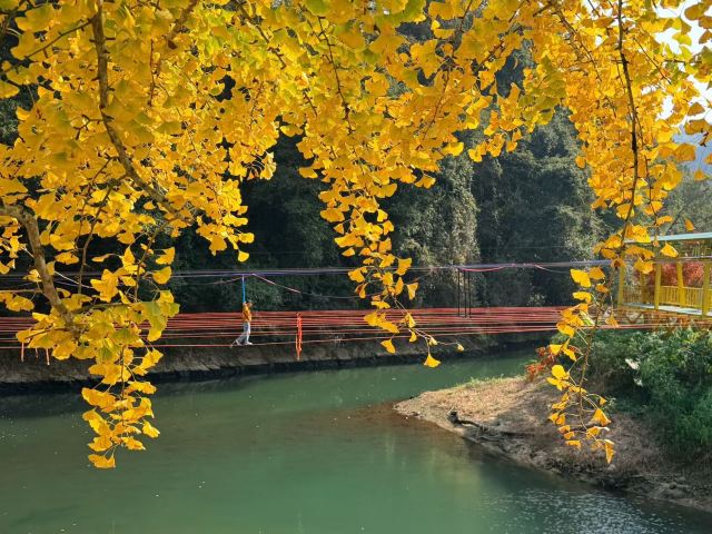 南雄帽子峰旅游景区旅行图片 5