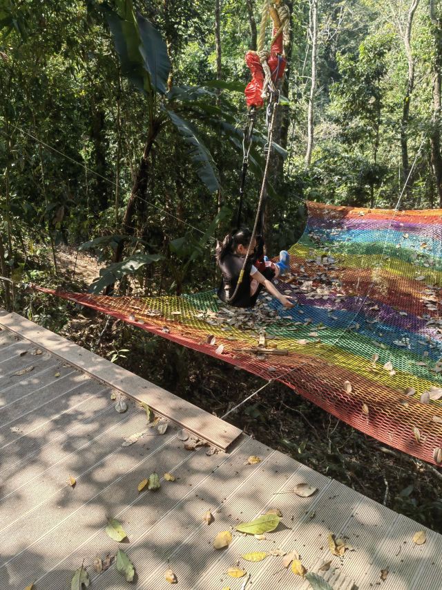 基诺山巴朵村雨林徒步旅行图片 6