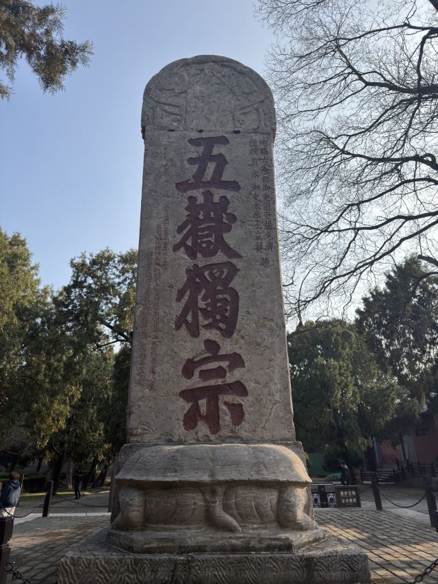 岱庙旅行图片 2