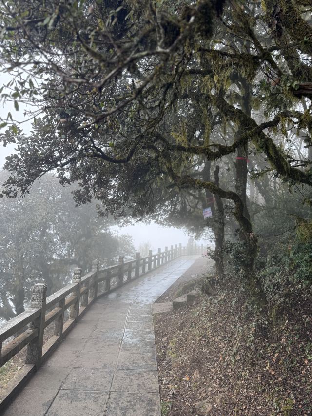 鸡足山旅行图片 3