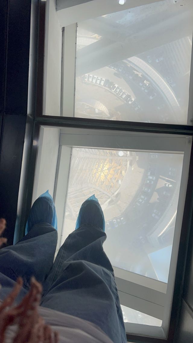 龙塔旅行图片 3