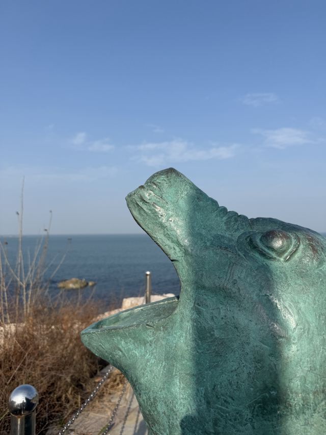 养马岛林间花海旅行图片 7