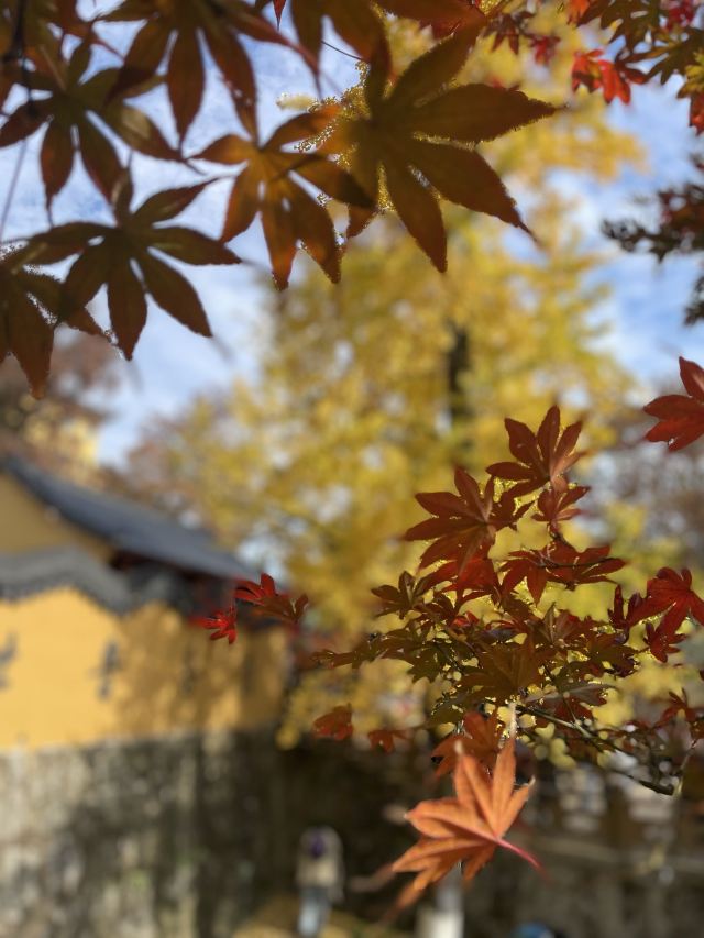 八都岕八都堰旅行图片 6