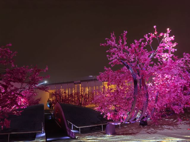 只有红楼梦·戏剧幻城旅行图片 3