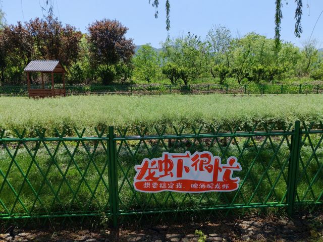长兴太湖图影湿地文化园-观景塔旅行图片 2
