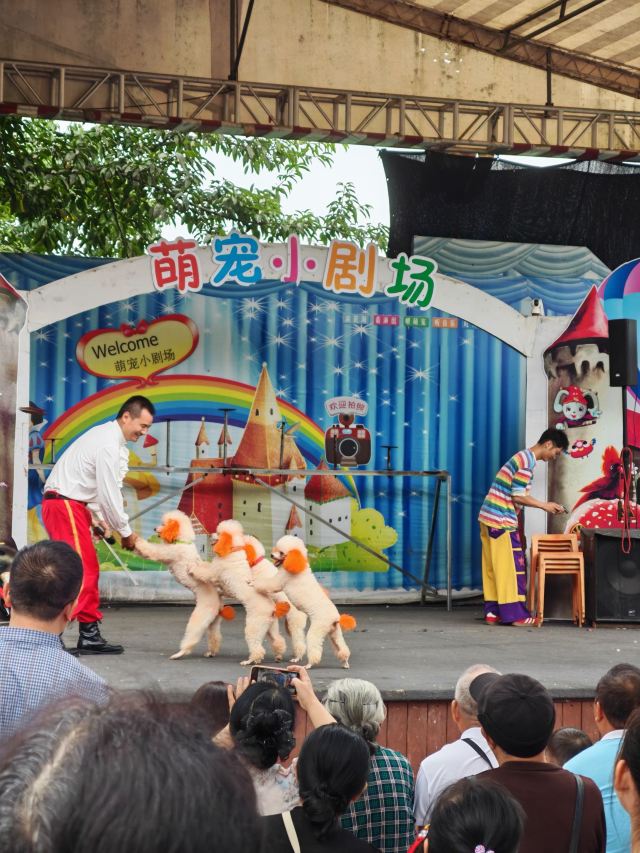 音乐·百花谷旅行图片 5