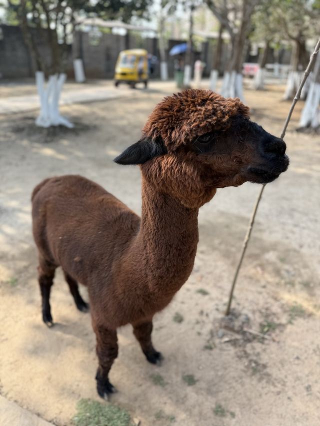 海南热带野生动植物园旅行图片 1