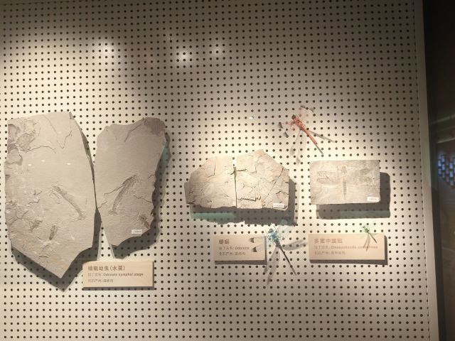 朝阳化石谷旅行图片 1
