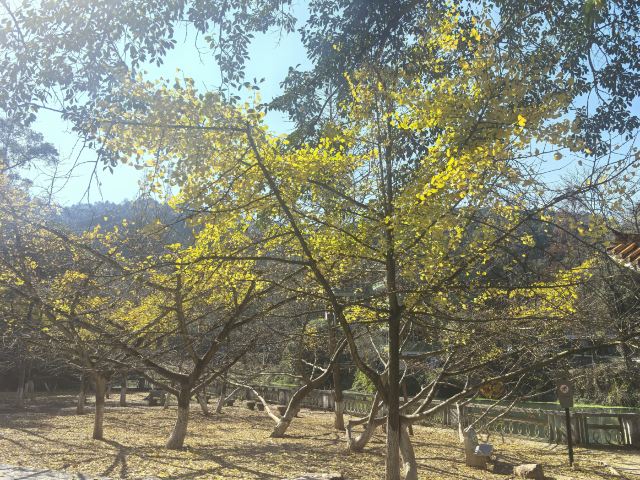南雄帽子峰旅游景区旅行图片 8