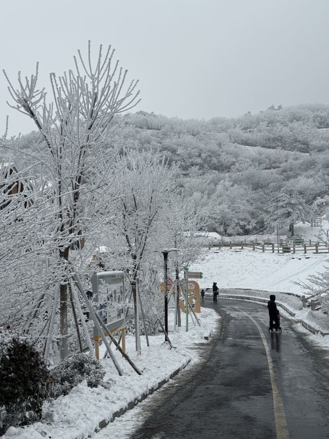 云上草原国际山地旅游度假区旅行图片 8