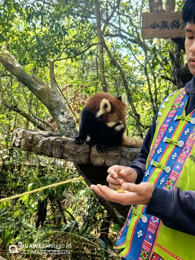 普洱国家公园犀牛坪景区旅行图片 3