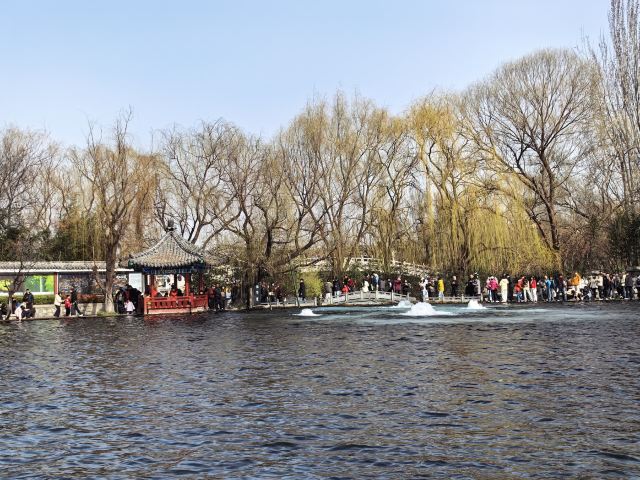 清照泉城·明水古城国际泉水旅游度假区旅行图片 1