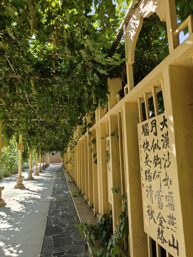 苏公塔旅行图片 5