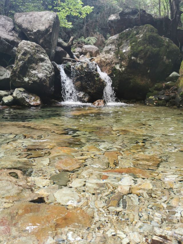箬寮原始森林旅行图片 2