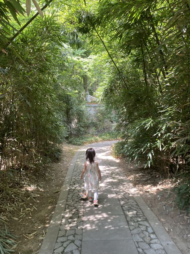 南山风景区旅行图片 2
