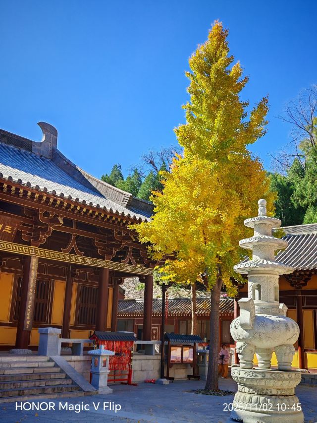 四门塔旅行图片 4