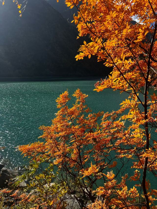 叠溪松坪沟景区旅行图片 1