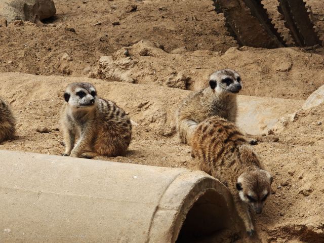 隐贤山庄旅行图片 5