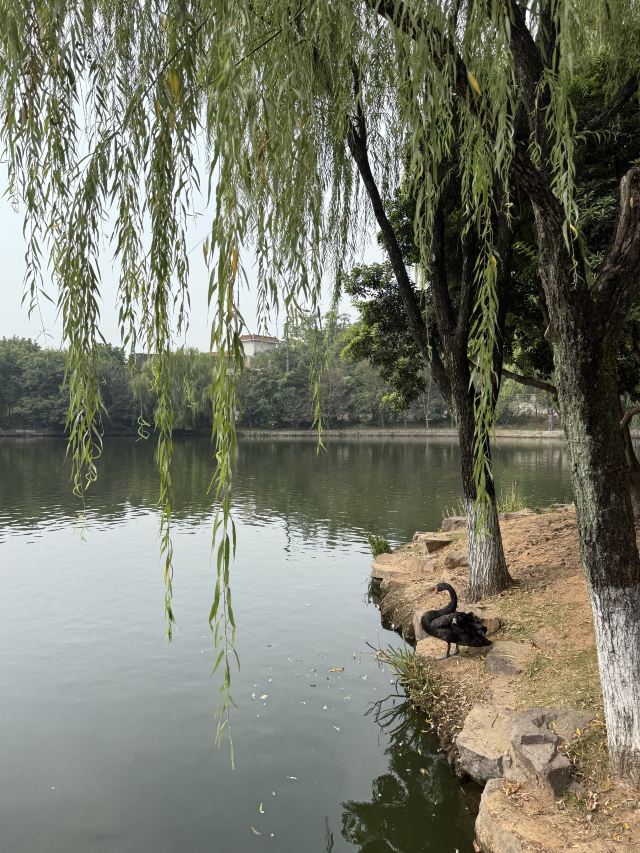 绍兴东湖风景区旅行图片 4