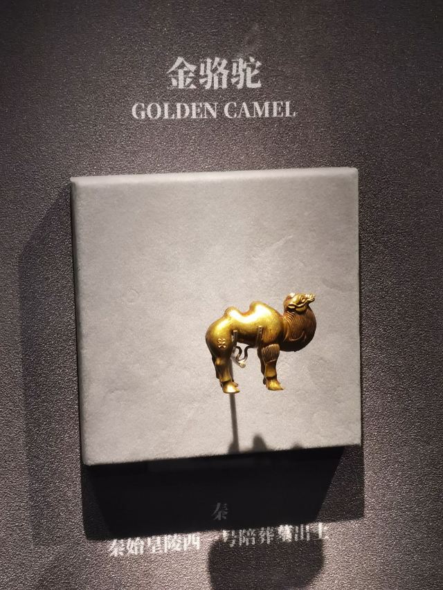 秦始皇帝陵博物院旅行图片 1