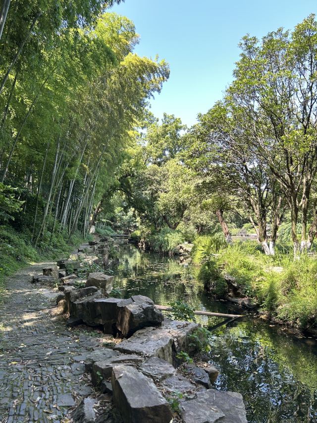 亭林园旅行图片 2