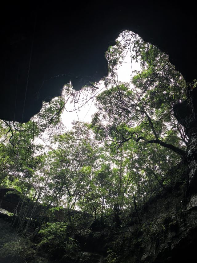 荔波酷玩森林旅行图片 1