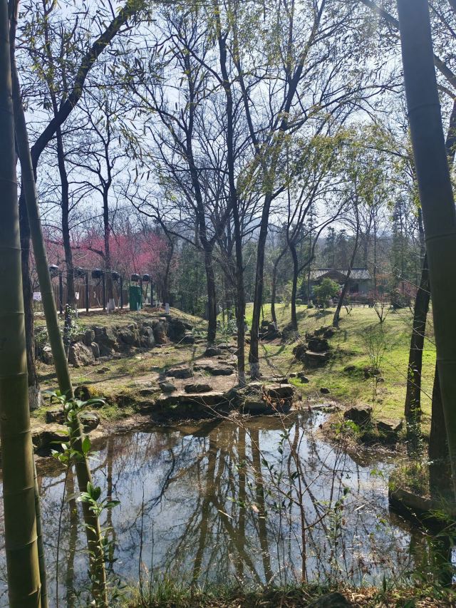 鹿门山旅行图片 3