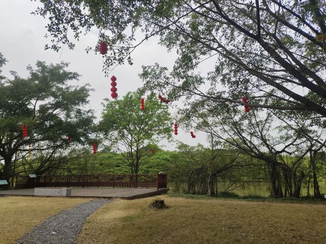 小鸟天堂旅行图片 1