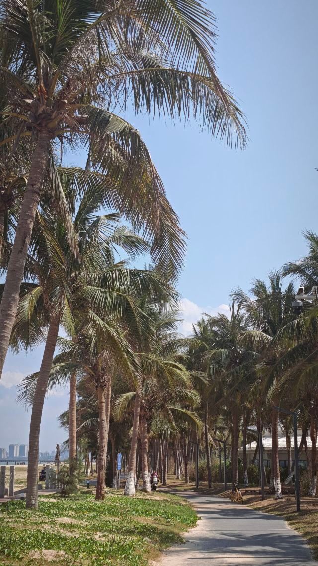 天涯海角游览区旅行图片 1