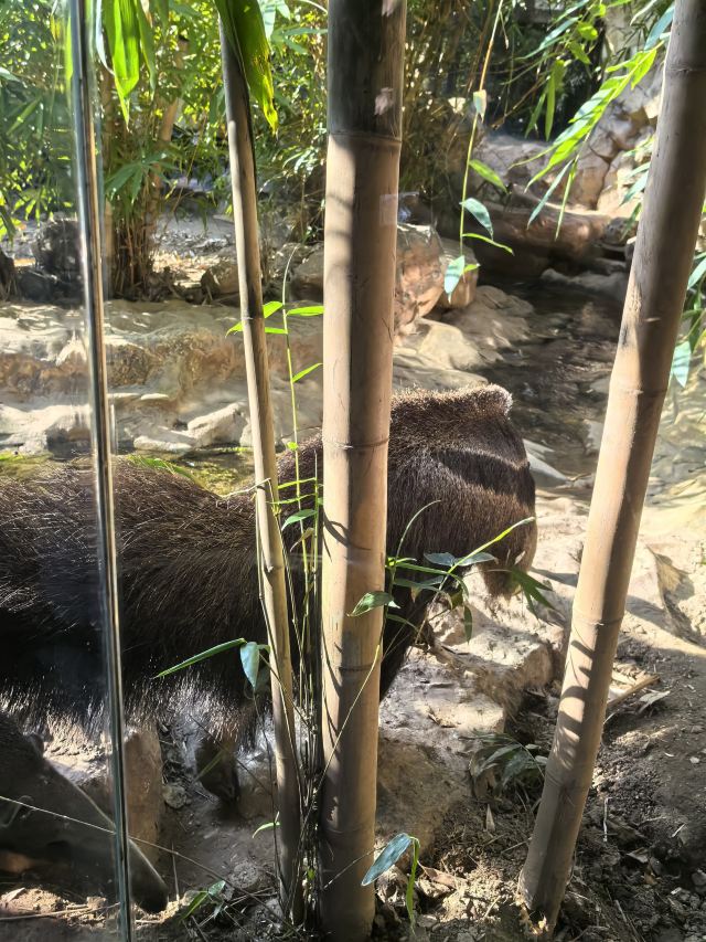 长鹿旅游休博园旅行图片 2