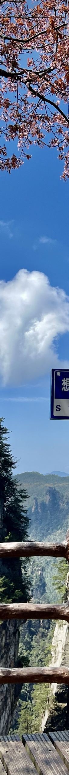 黄石寨索道-张家界-YoYo_3V9W1P6N