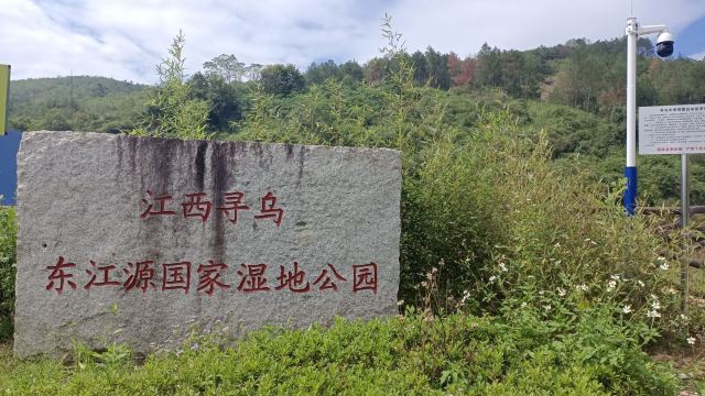 青龙岩风景区旅行图片 7
